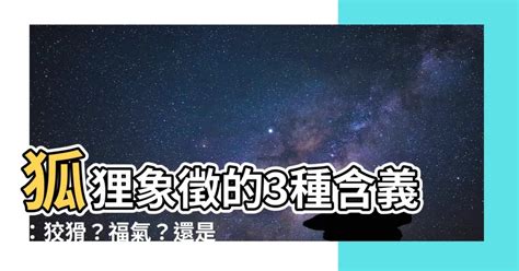 狐狸象徵什麼|【狐狸寓意】 狐狸寓意：揭開牠的神秘象徵與文化意涵